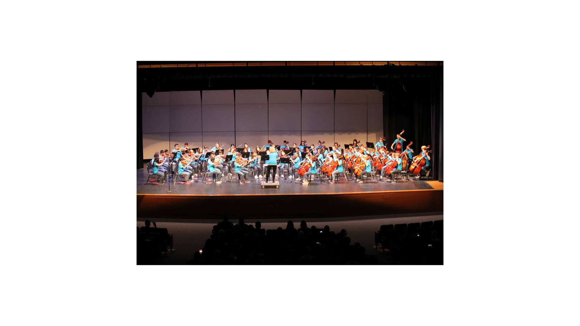 FACE Strings Camp youth orchestra