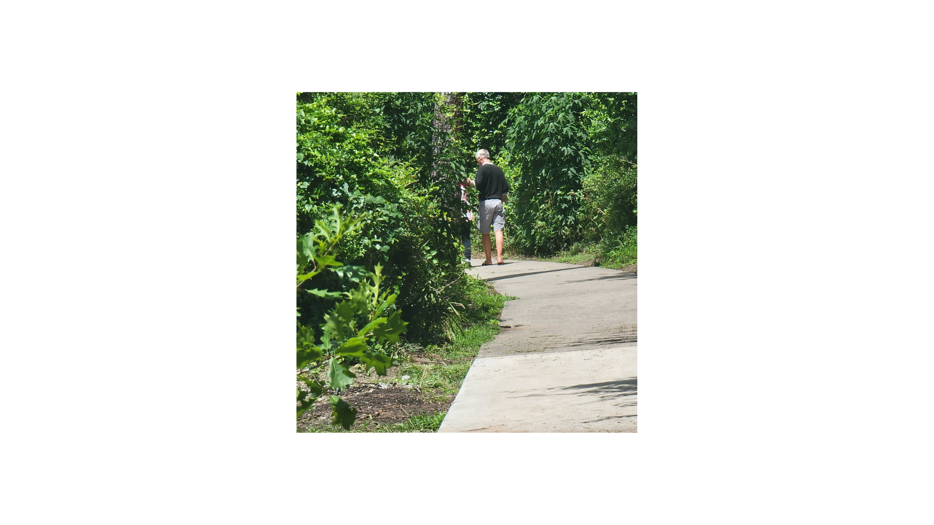 Walker on Cypress Creek trail