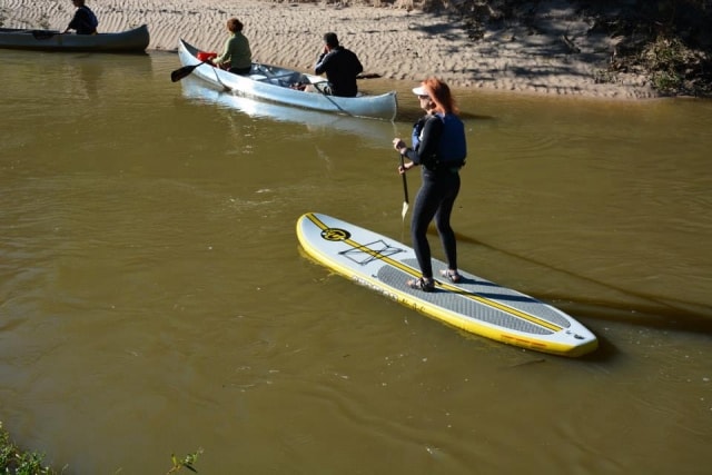 Woman paddleboarding on Cypress Creek with canoes in the background